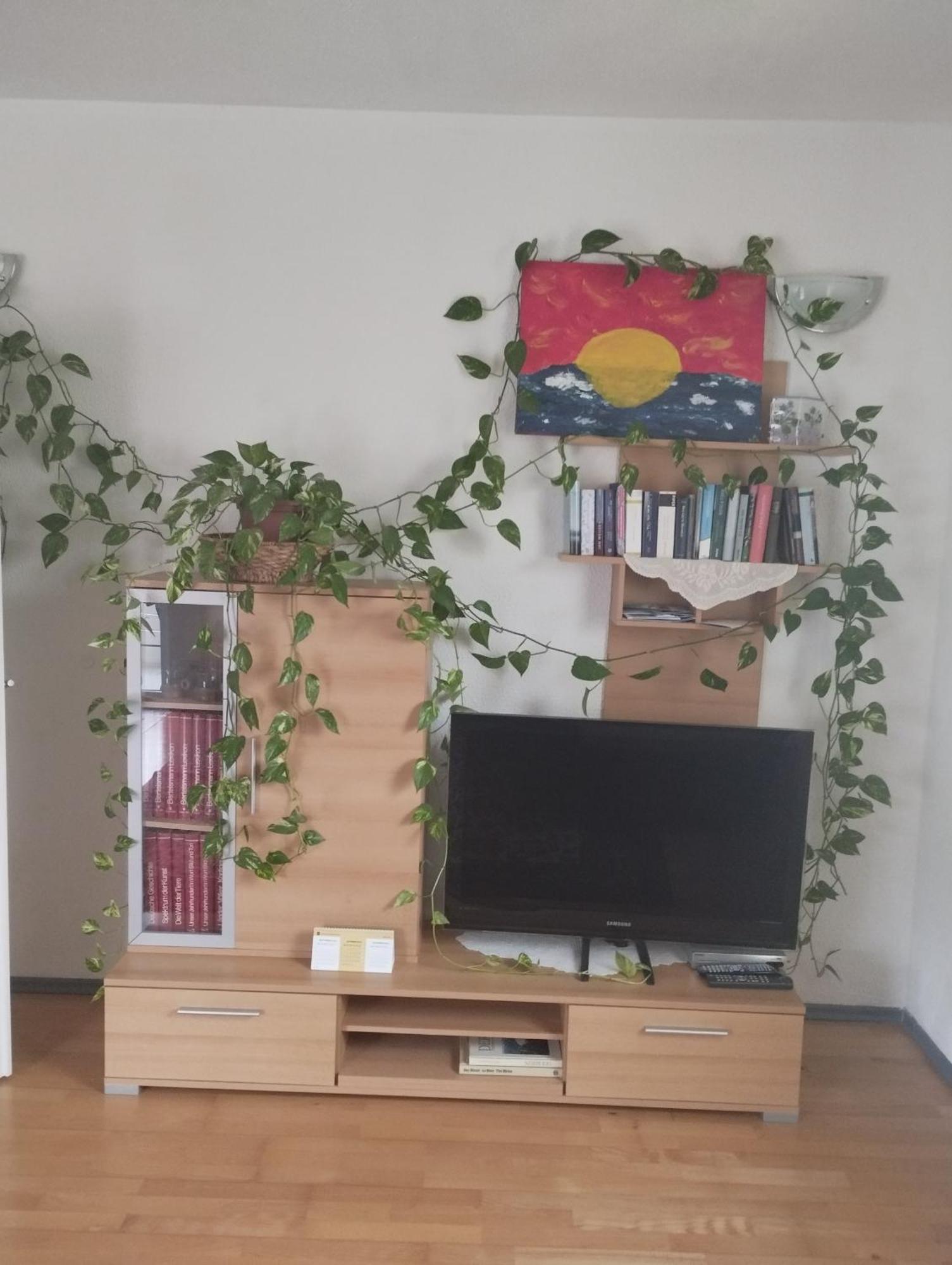 Ferienwohnung Lottstetten Apartment Lottstetten